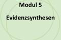 Öffnen Modul 5: Evidenzsynthesen
