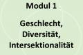 Öffnen Modul 1: Geschlecht, Diversität und Intersektionalität